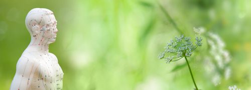 Akupunkturmodell im Grnen